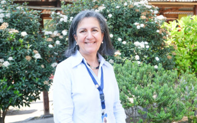 Carta al director: “Mejor formación en salud digital”